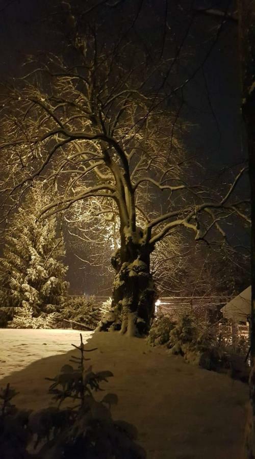 Apartmany Calma Liptovský Mikuláš Esterno foto